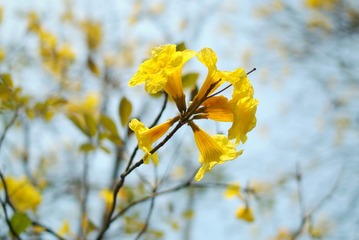 638606