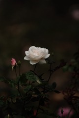 638015