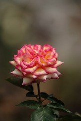 638020
