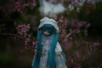 641087
