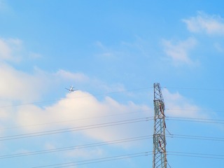 1000145561