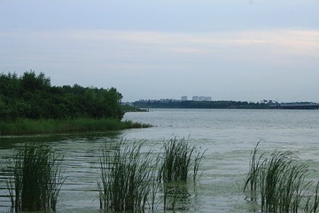 IMG_8085_