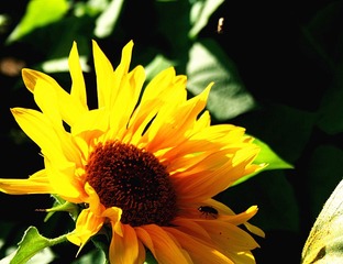 IMG_8022_