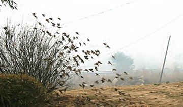 IMG_8704_.jpg0