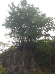 905074