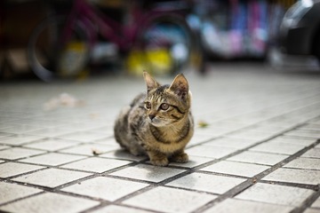 DSC04174-1