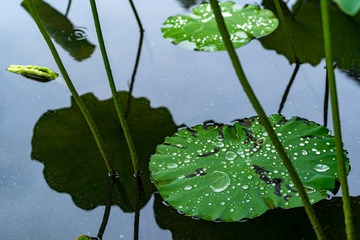 _DSC0142