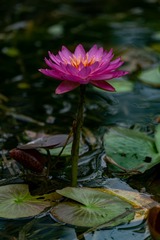 _DSC0148