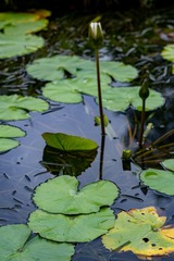 _DSC0123