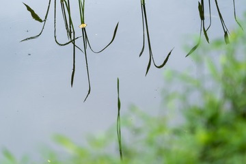 _DSC0226