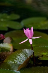 _DSC0080