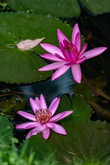 _DSC0094