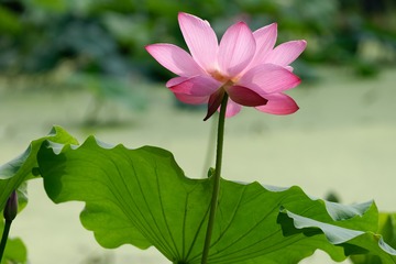 _DSC1254_DxO