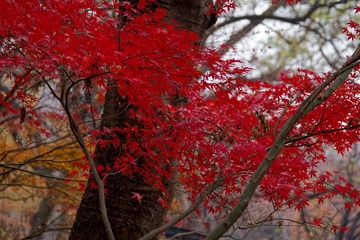 _DSC3852_DxO