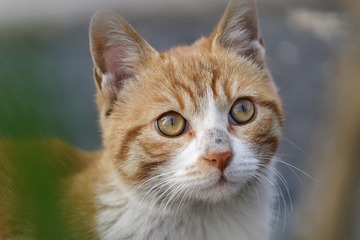 _DSC6462_DxO