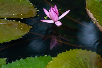 _DSC0097
