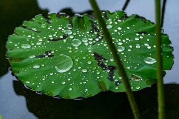 _DSC0139