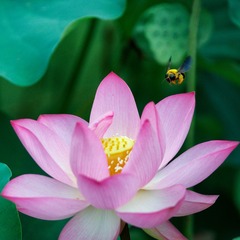 _DSC1382_DxO
