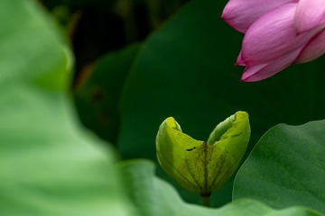 _DSC0190
