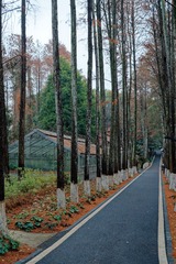 _DSC4694_DxO
