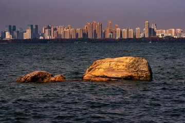 _DSC7568