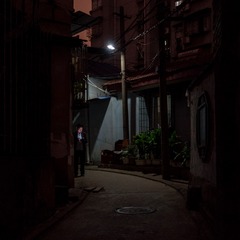 _DSC5675