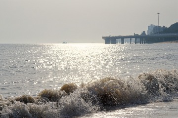 _DSC4142_DxO