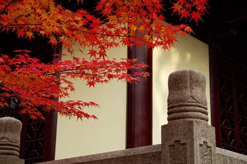 _DSC3489_DxO
