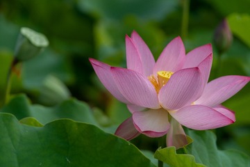 _DSC5311