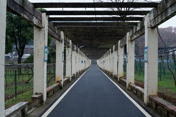 _DSC4700_DxO
