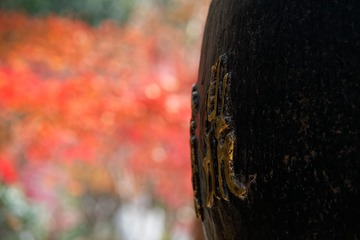 _DSC3430_DxO