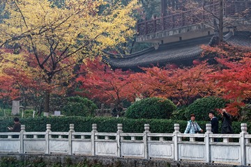 _DSC3588_DxO