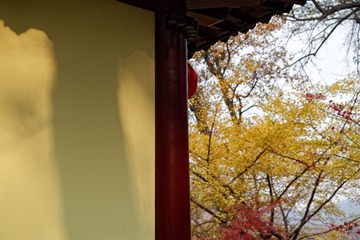 _DSC3505_DxO