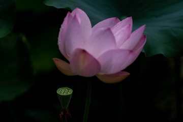 _DSC0182
