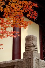 _DSC3482_DxO