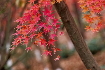 _DSC3842_DxO