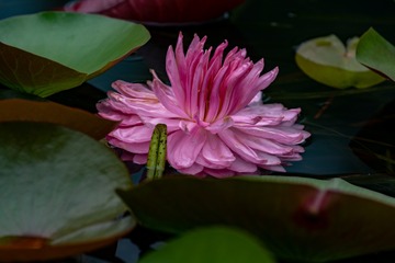_DSC0154