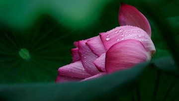 _DSC1290_DxO