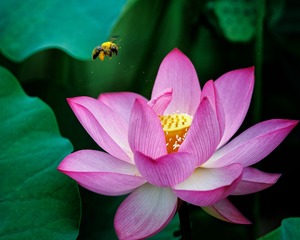 _DSC1378_DxO