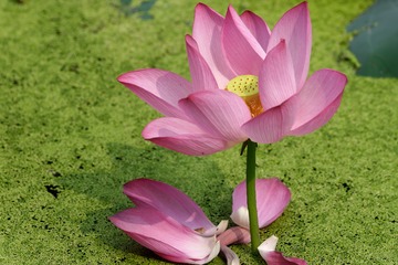 _DSC1279_DxO