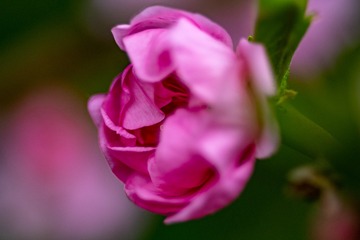 _DSC7768