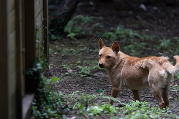_DSC0246
