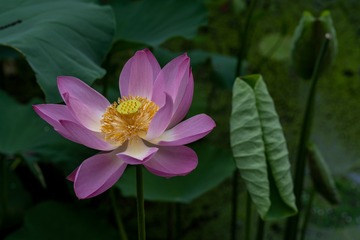 _DSC5021