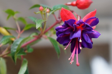 _DSC3829_DxO