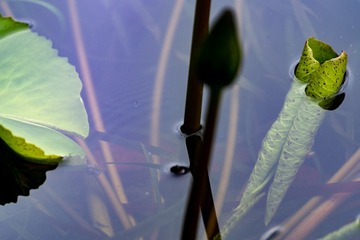 _DSC0128