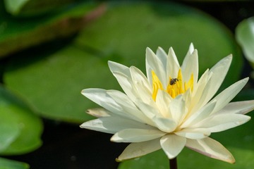 _DSC5306