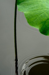 _DSC6245_DxO_DxO