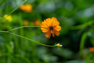 _DSC5365