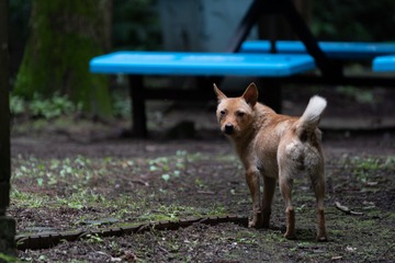 _DSC0248