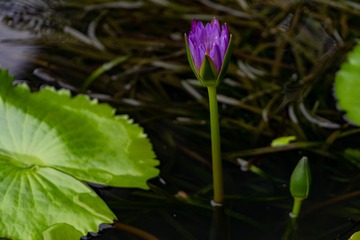 _DSC0075
